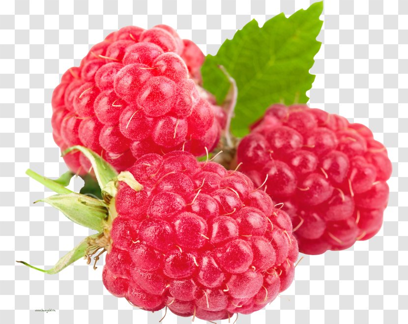 Raspberry Ketone Vegetarian Cuisine Health Fruit - Berries Transparent PNG