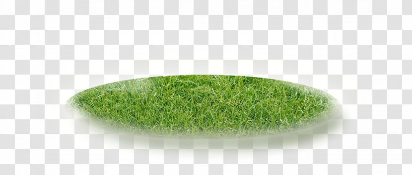 Grasses Font - Organism - Grass Transparent PNG