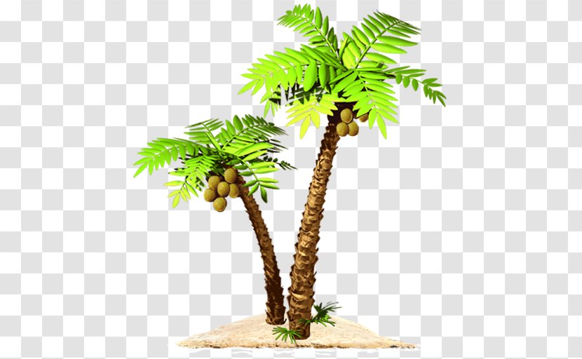 Asian Palmyra Palm Mysteryville Paradise Beach App Store Nevosoft Transparent PNG