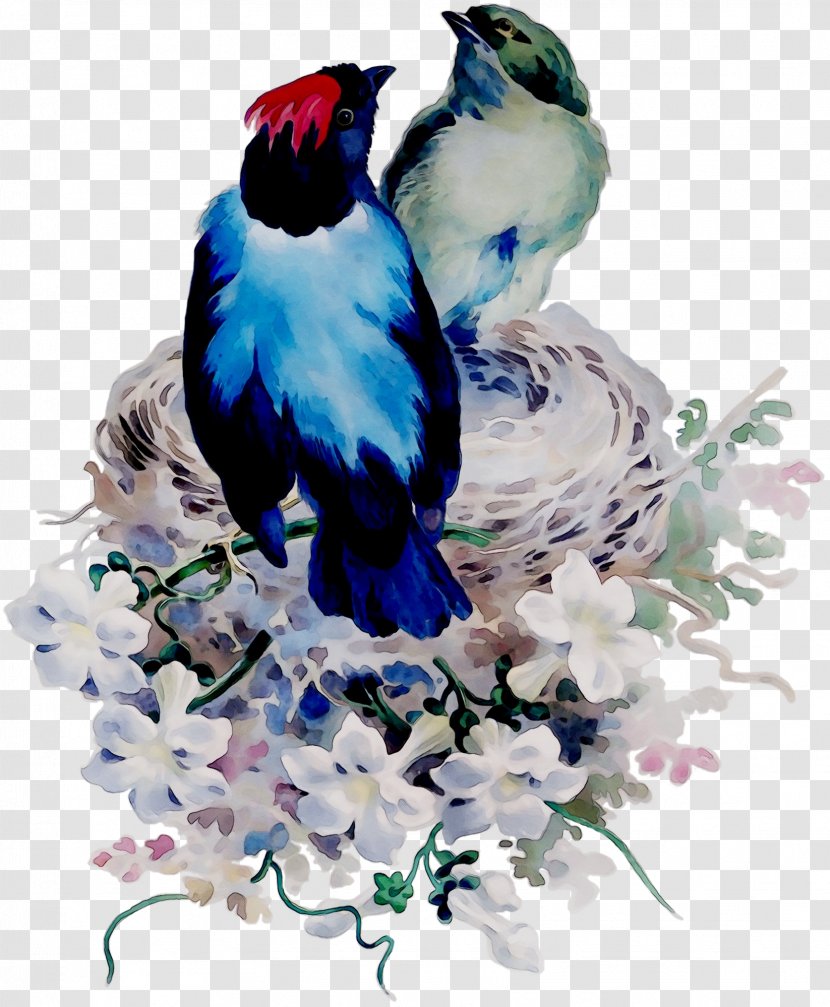 Blue Jay Cobalt Illustration Beak - Bluebird Transparent PNG