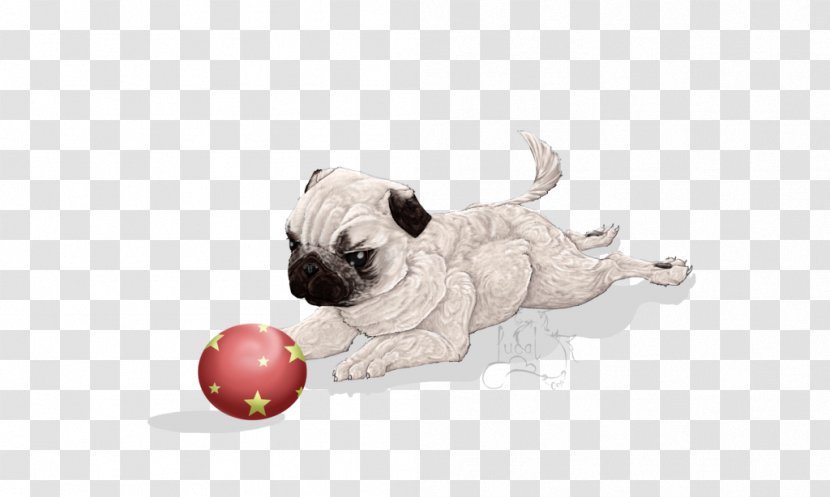 Pug Puppy Love Dog Breed Toy - Squishy Paws Transparent PNG