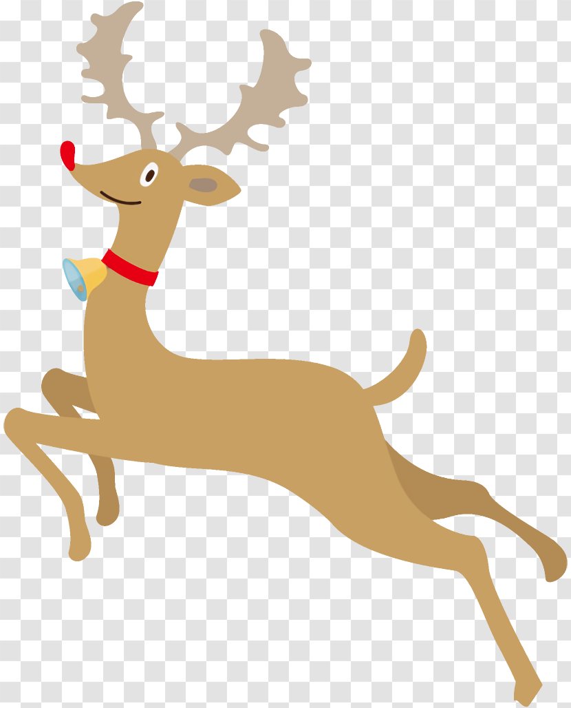 Reindeer Christmas - Tail - Wildlife Antelope Transparent PNG