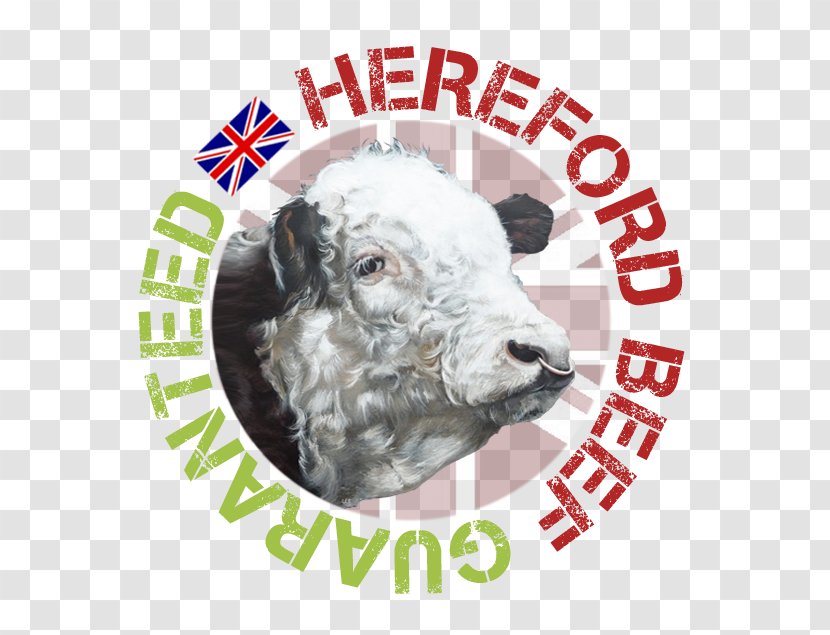 The Hereford Cattle Society Beef Angus Iron Horse Ranch House - Cow Transparent PNG