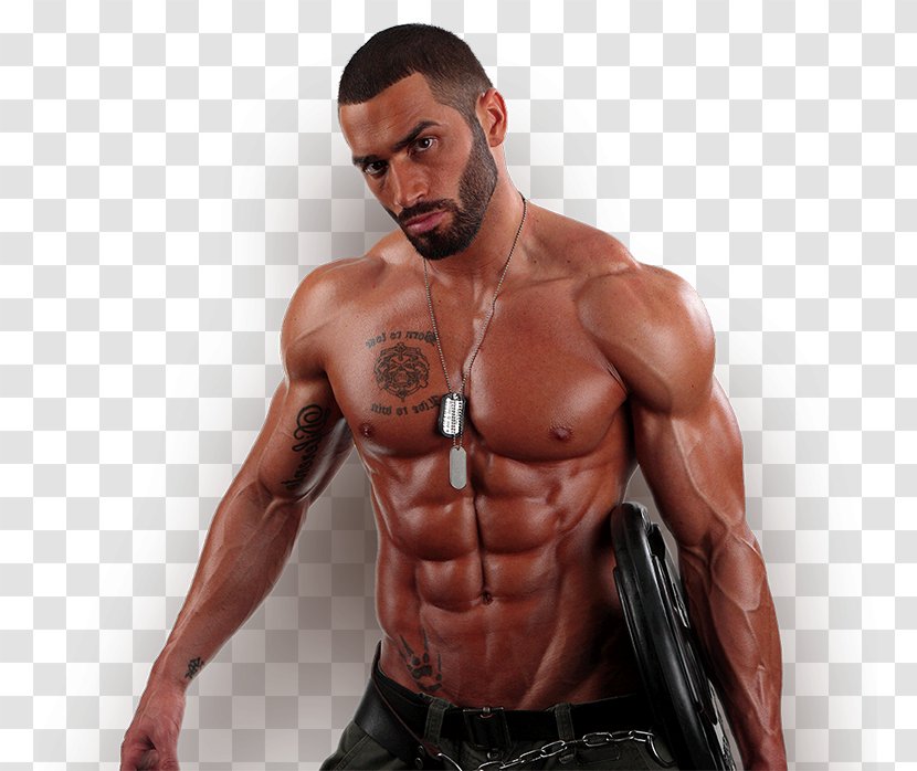 Lazar Angelov Rectus Abdominis Muscle Physical Fitness Bodybuilding Personal Trainer - Flower - Bodybuilder Transparent PNG