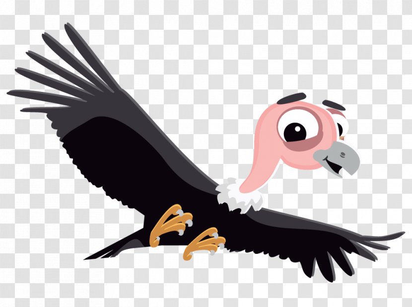 Colca Canyon Bird Andean Condor Desktop Wallpaper - Flightless - Vulture Cliparts Transparent PNG
