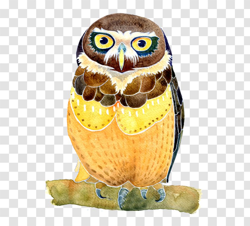Owl Watercolor Painting Illustration - Art Transparent PNG