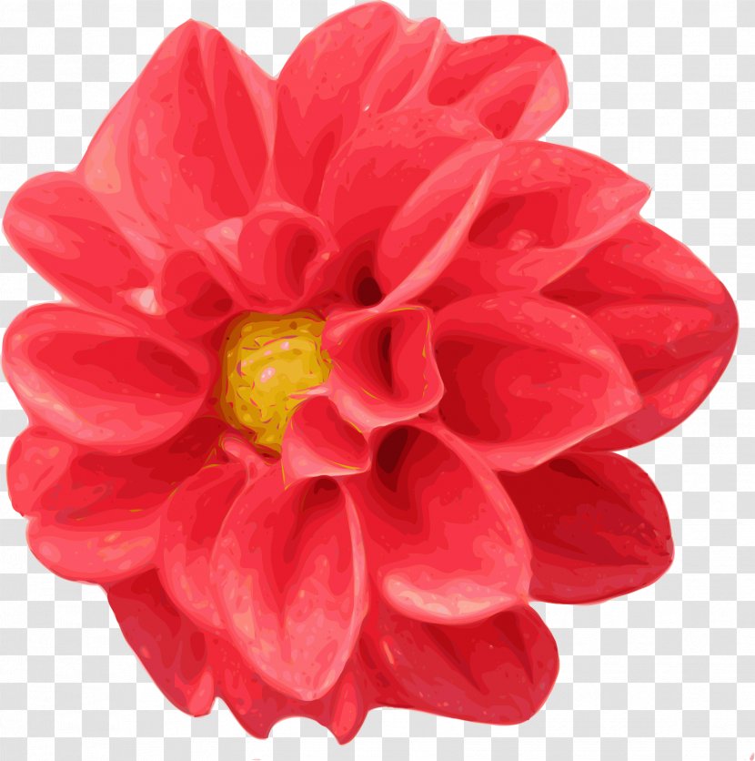 Dahlia Free Content Clip Art - Magenta - Flower Cliparts Transparent PNG