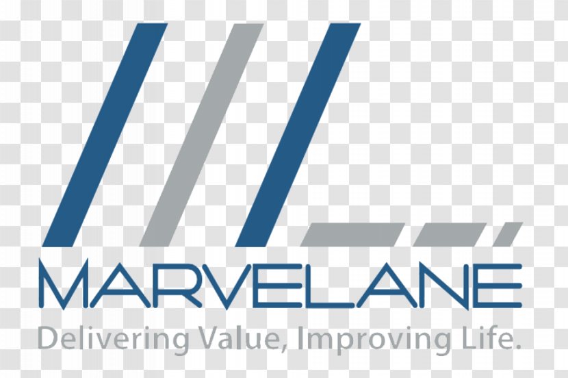Marvelane Homes By The Lake House Apartment Property Condominium - Organization Transparent PNG