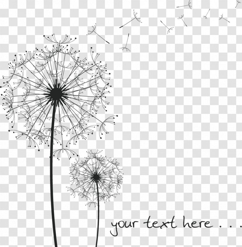 Common Dandelion Black And White Drawing - Monochrome Photography - Vector Transparent PNG
