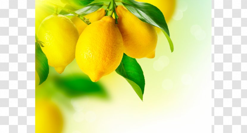 Meyer Lemon Citroenolie Oil - Zest Transparent PNG