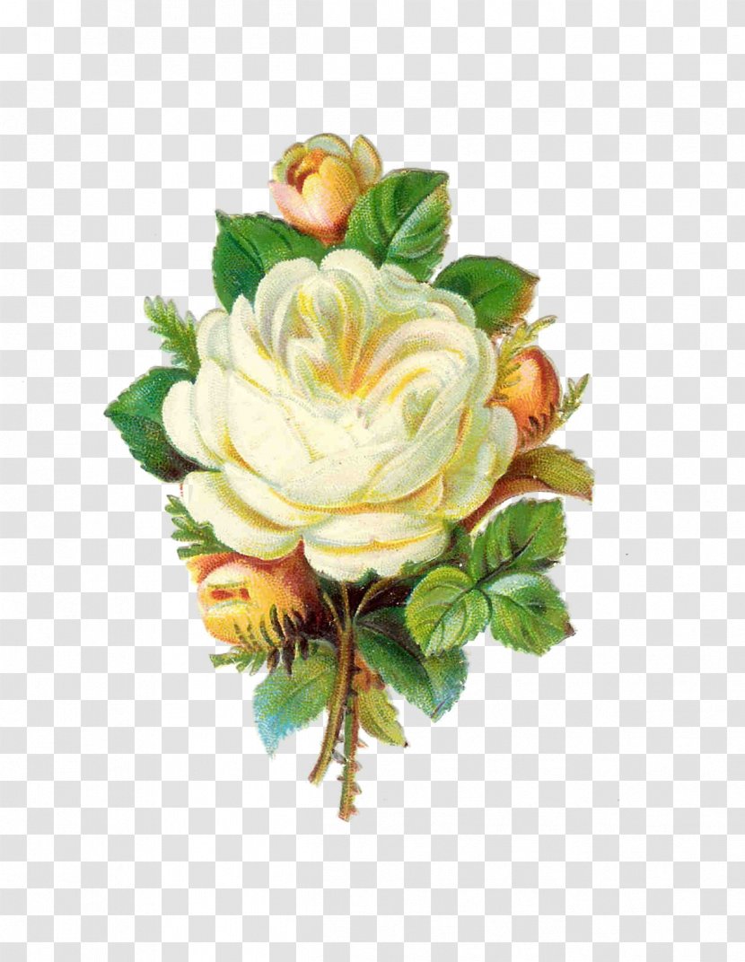Flower Bouquet Rose Antique Clip Art - Petal - White Transparent PNG