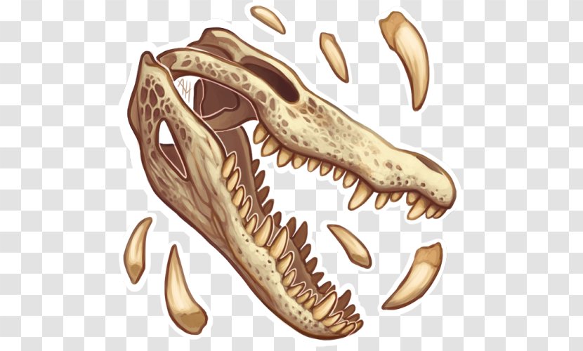 Reptile Food Jaw Fish - Mouth Transparent PNG