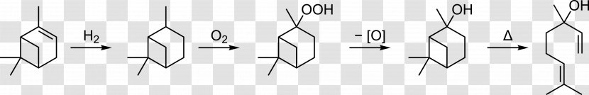 Nicotinamide Adenine Dinucleotide Brewer's Yeast Enzyme Zymosan - Silhouette - Alphapinene Transparent PNG