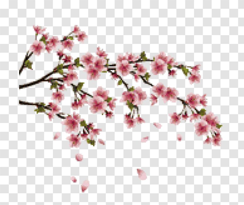 Cherry Blossom Wall Decal Branch - Pink Transparent PNG