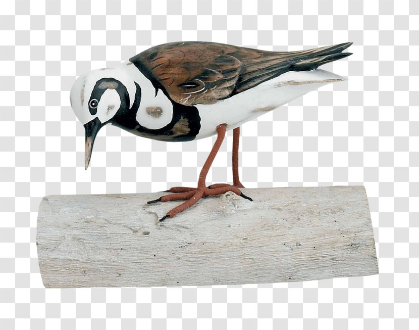 Beak Goose Cygnini Duck Bird - Wood Transparent PNG