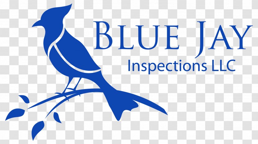 Blue Jay Inspections LLC Home Inspection Architectural Engineering House Transparent PNG