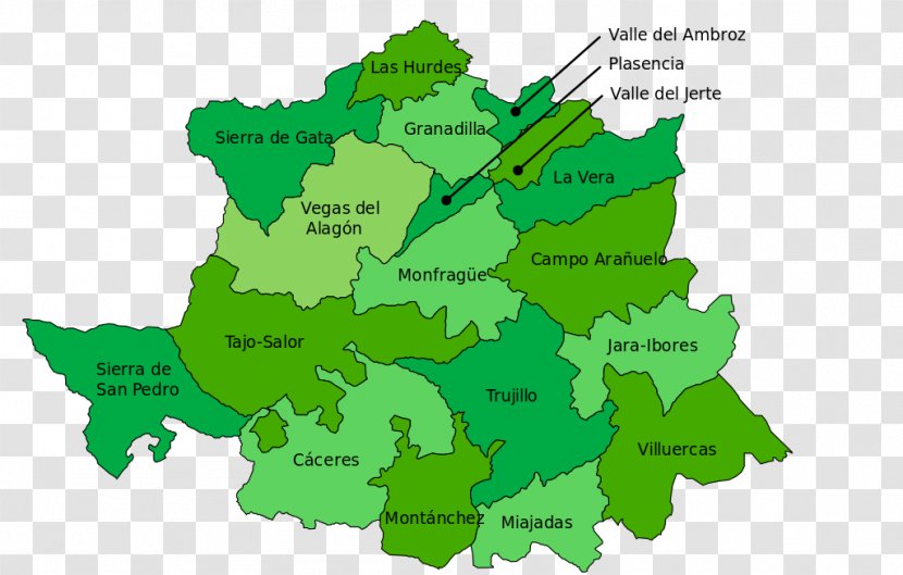 Cáceres Monroy Alcántara Aldea Del Cano Jerte - Diagram - Map Transparent PNG