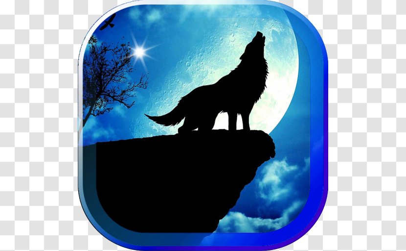 Shoot For The Moon Supermoon Gray Wolf Wallpapers Transparent PNG