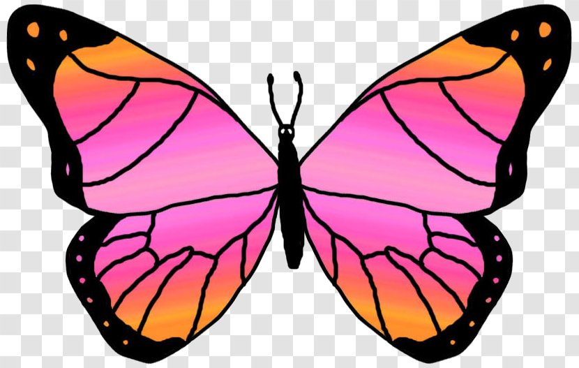 Butterfly Free Content Clip Art - Symmetry - Rainbow Cliparts Transparent PNG