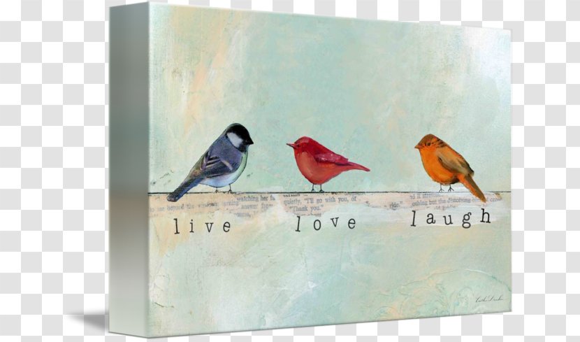 Finch Painting Beak Bird Gallery Wrap - Live Laugh Love Transparent PNG