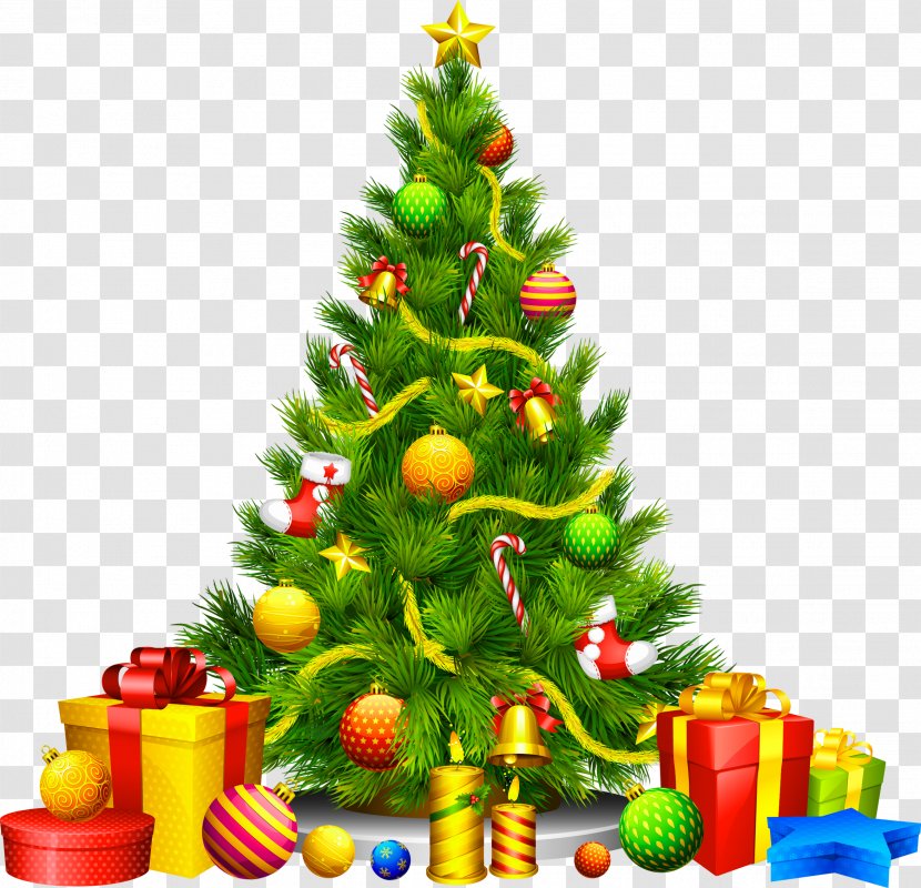 Christmas Tree - Holiday - Fir-tree Image Transparent PNG
