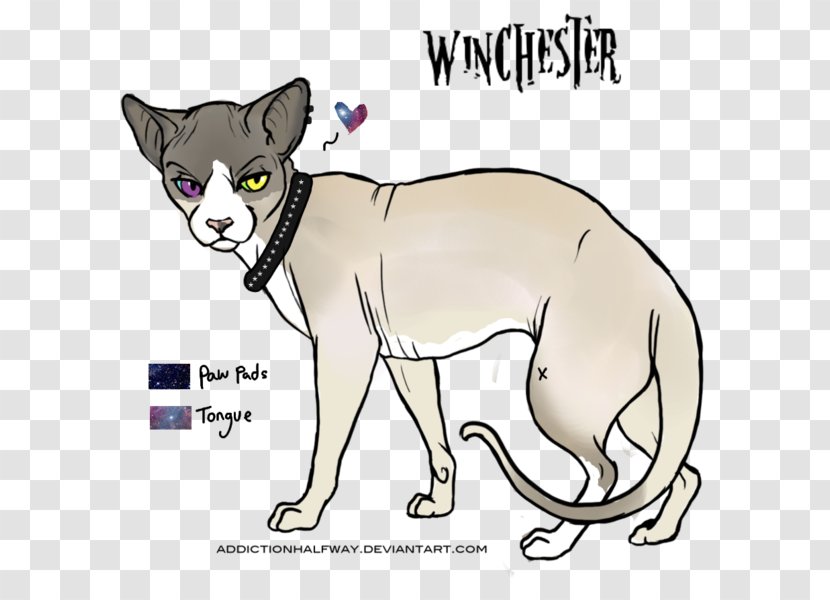 Whiskers Cat Dog Paw Clip Art - Watercolor Transparent PNG