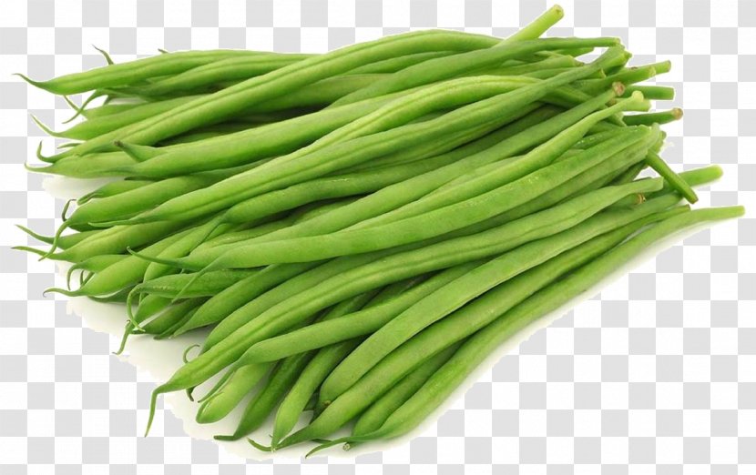 Common Bean Yardlong Green Vegetable - Wild Transparent PNG