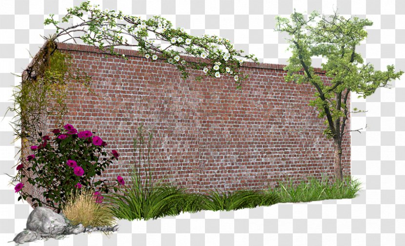 PhotoScape Wall GIMP - Tree Transparent PNG