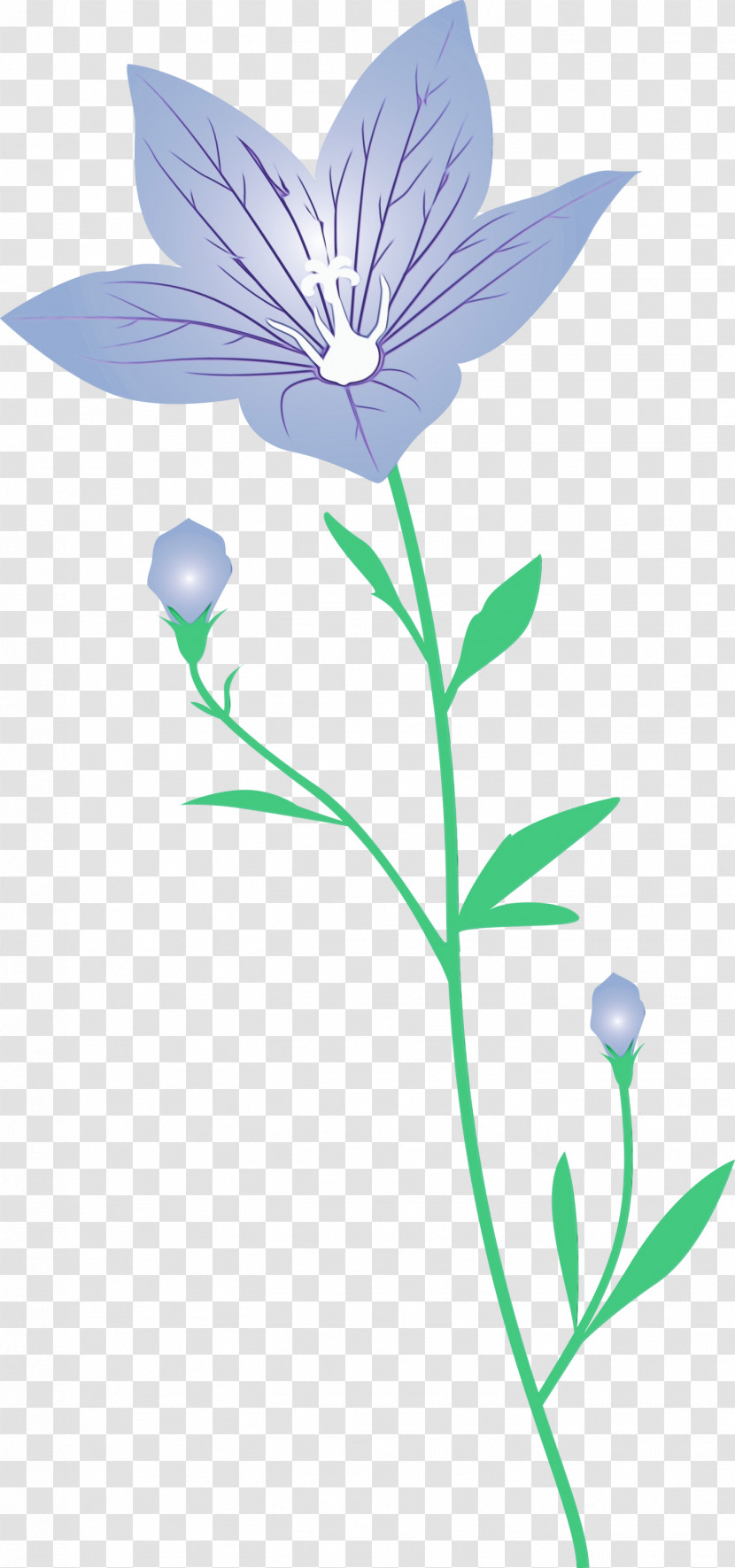 Lavender Transparent PNG