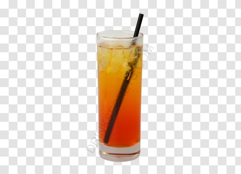 Bay Breeze Cocktail Squash White Russian Orange Drink - Tree Transparent PNG