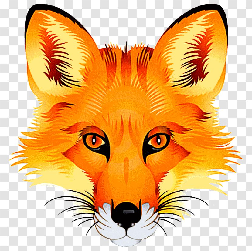 Red Fox Stock Photography - Vertebrate - Painting Transparent PNG