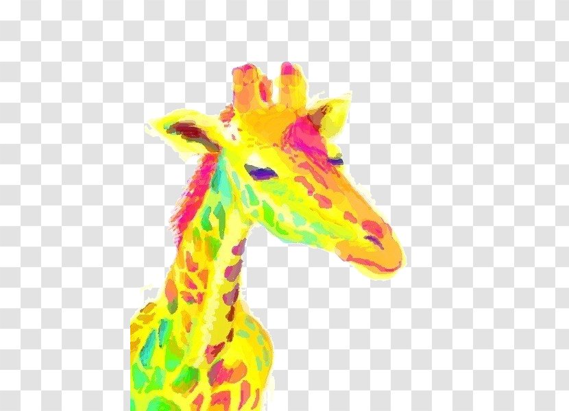 Northern Giraffe Download IPhone 4 Wallpaper - Watercolor Yellow Head Transparent PNG