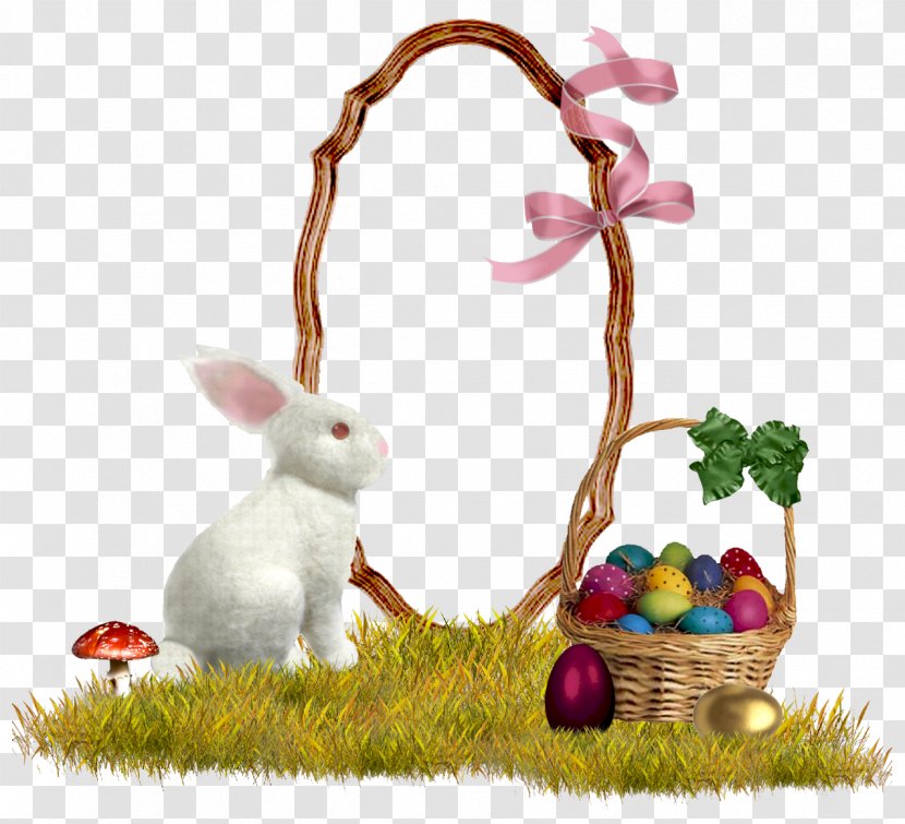 Domestic Rabbit Easter Bunny Hare - Rabits And Hares - Qp Transparent PNG