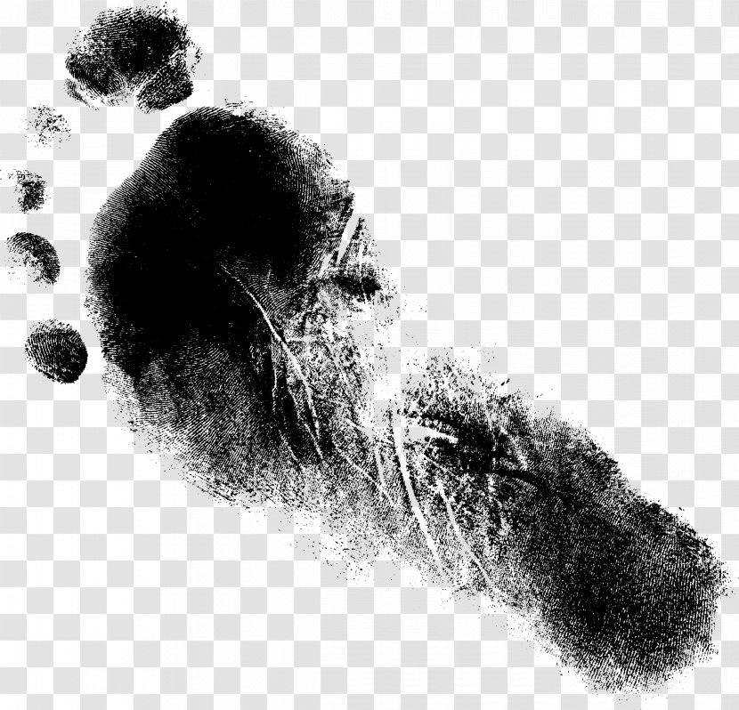 Drawing Monochrome Photography Paper - Crayon - Foot Print Transparent PNG