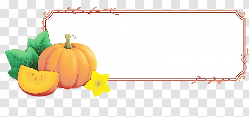 Squash Winter Squash Calabaza Fruit Meter Transparent PNG