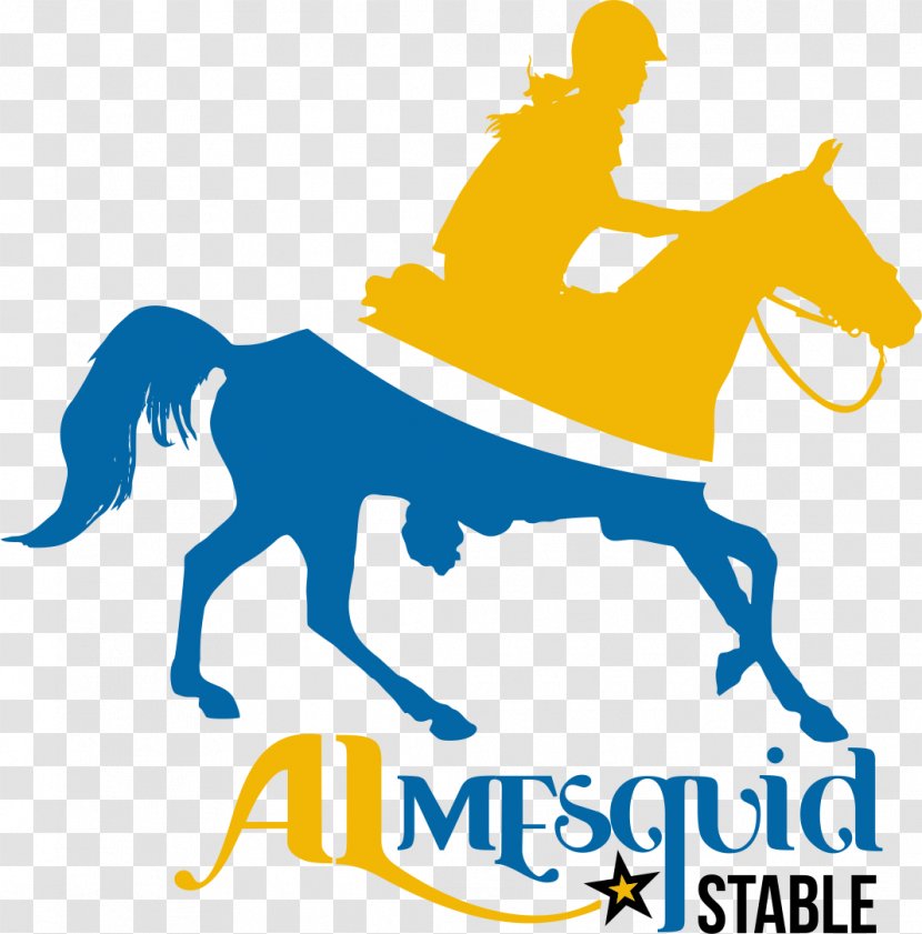 Horse Almesquid Stables Equestrian Endurance Riding Calle Transparent PNG