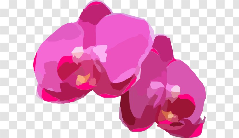 Orchids Clip Art - Color - Images For Free Transparent PNG