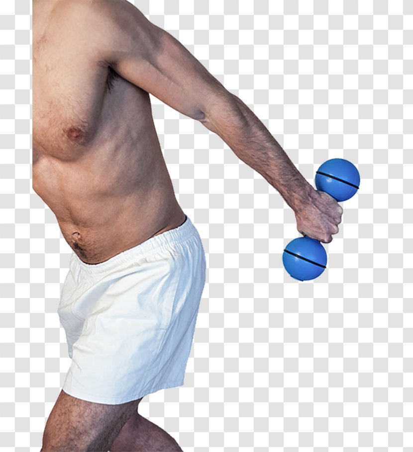 Dumbbell Physical Exercise Biceps Motion - Tree - Dumbbells Transparent PNG