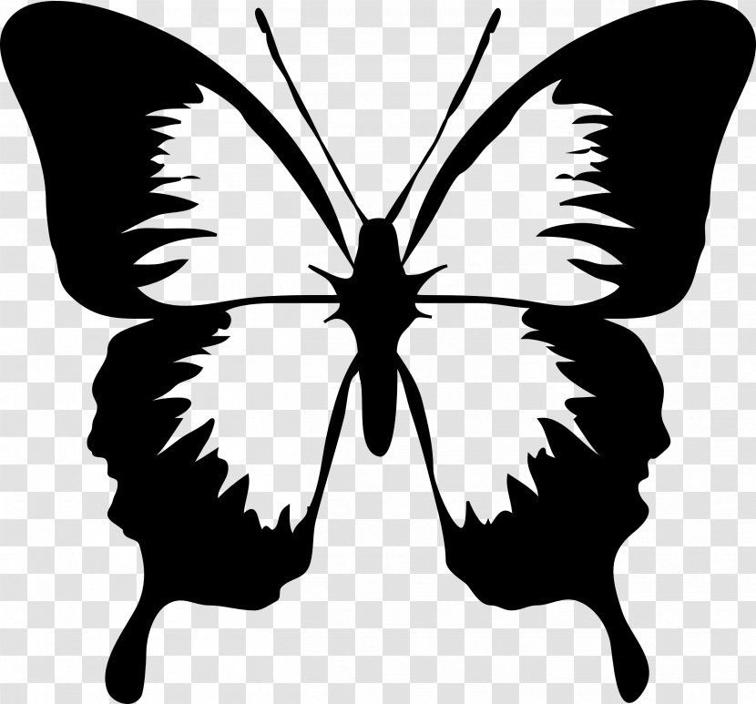 Clip Art Vector Graphics Butterfly Free Content Image - Royaltyfree Transparent PNG