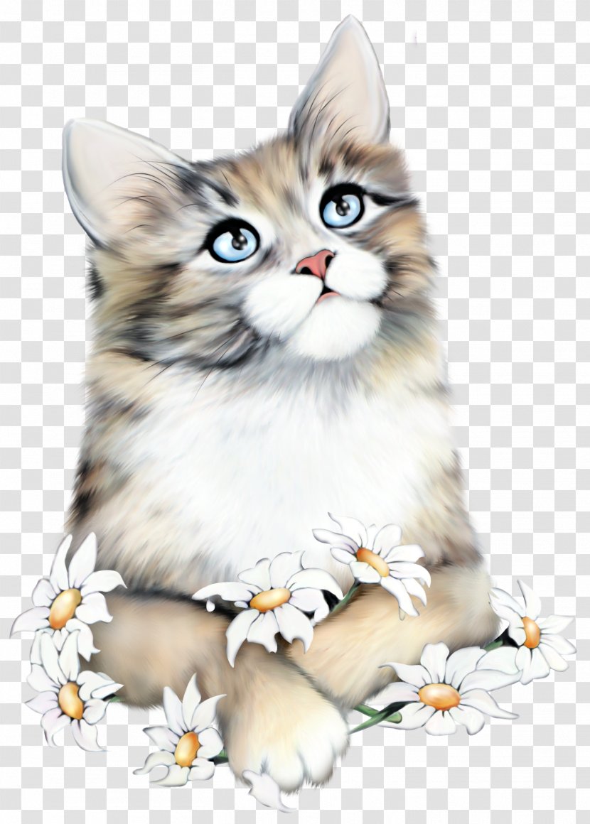 Cat Kitten Love Daytime Diary - Liveinternet - Cute Transparent PNG