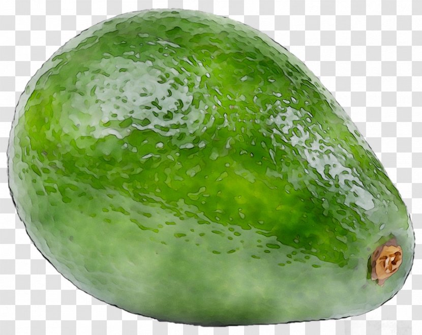 Watermelon Wax Gourd Cucumber Winter Squash Avocado - Food Transparent PNG