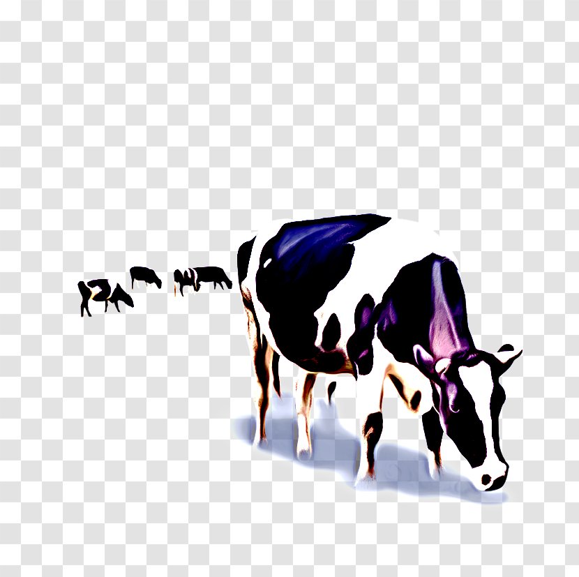 Cow Background - Livestock - Dairy Bovine Transparent PNG
