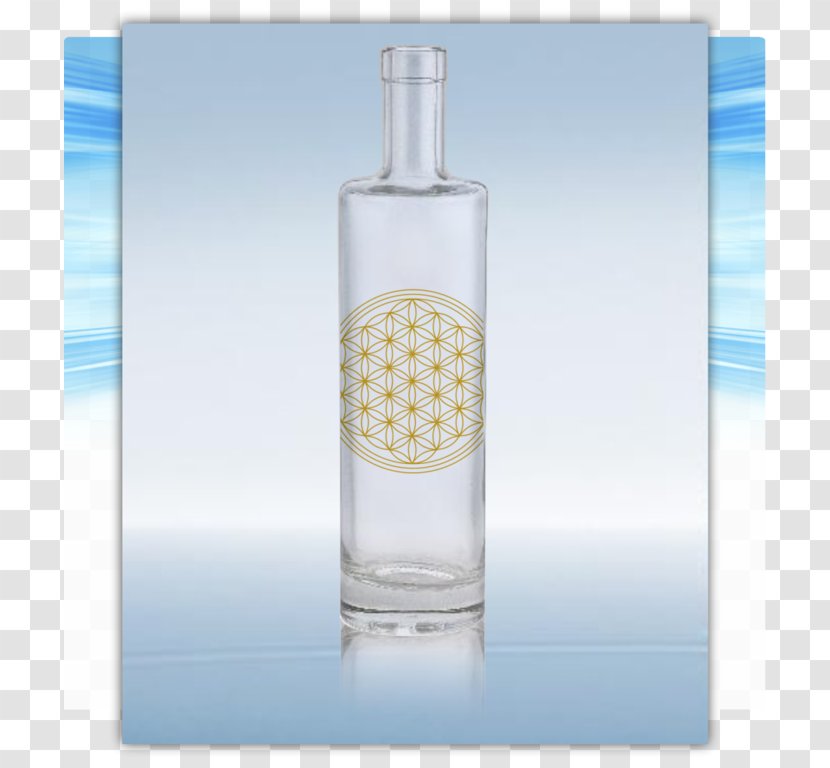 Glass Bottle Vodka Wine - Drinkware Transparent PNG