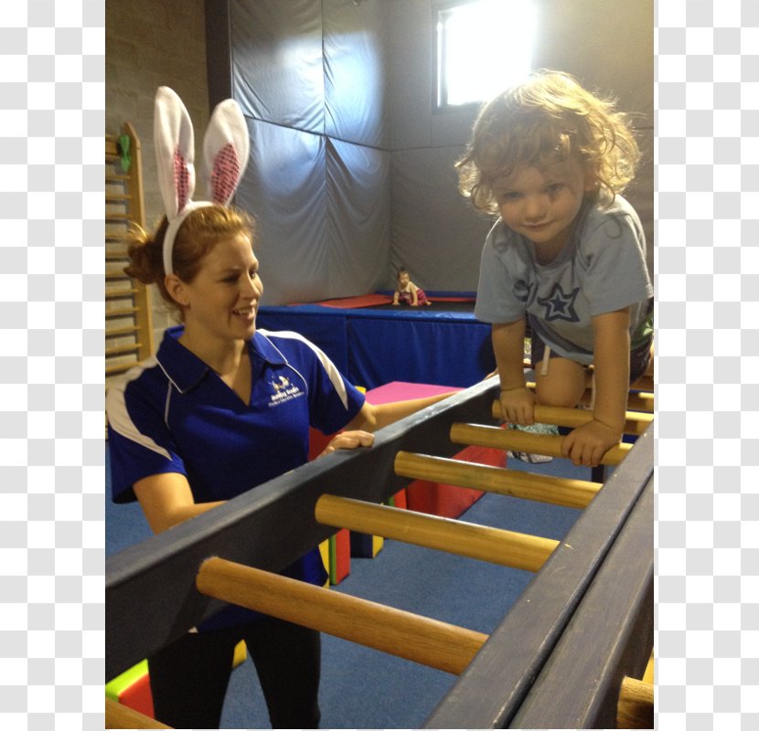 Moving Bodies Centre Toddler Child Hornsby Fitness - Climbing Lessons Transparent PNG