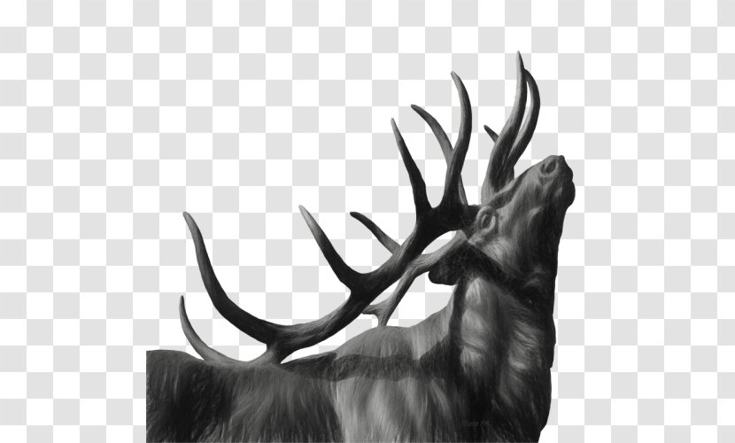 T-shirt Elk Moose Artist - Top Transparent PNG