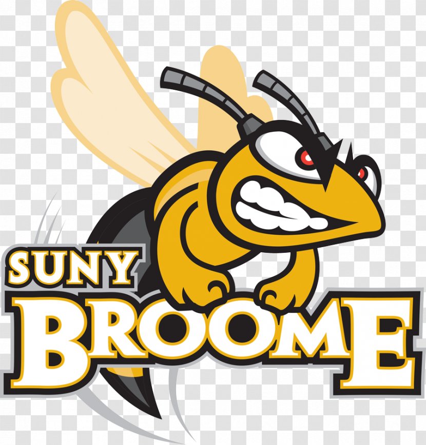 SUNY Broome Community College Binghamton New Summerfield Independent School District University - Yellow - Student Transparent PNG