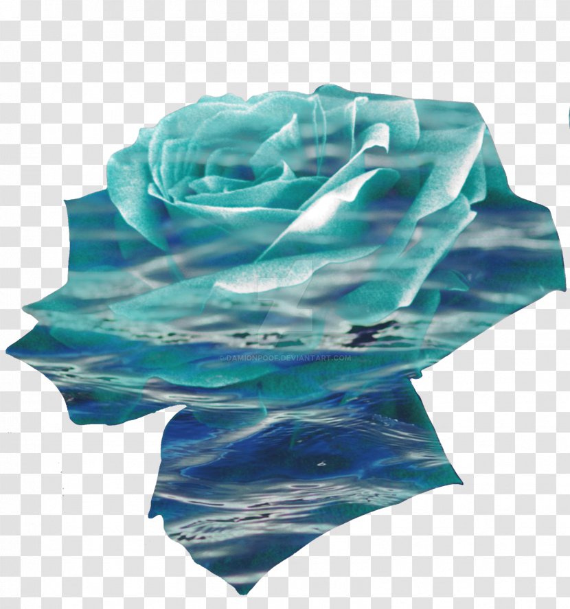 Turquoise Electric Blue Teal Cobalt - Azure - Sea Rose Transparent PNG