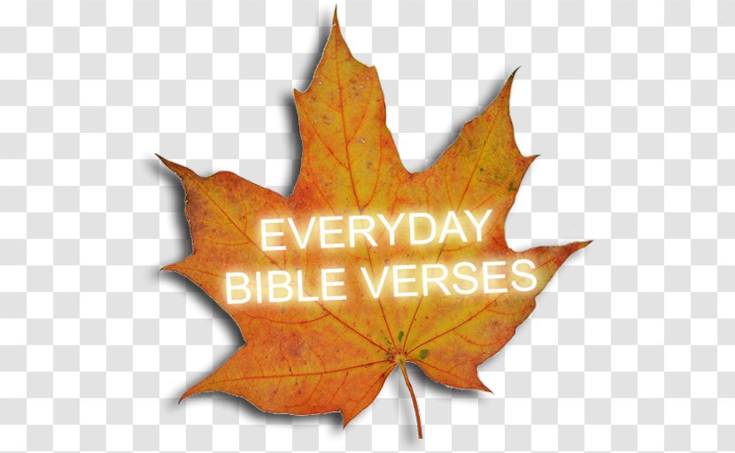 Maple Leaf - Tree - Bible Verses Transparent PNG