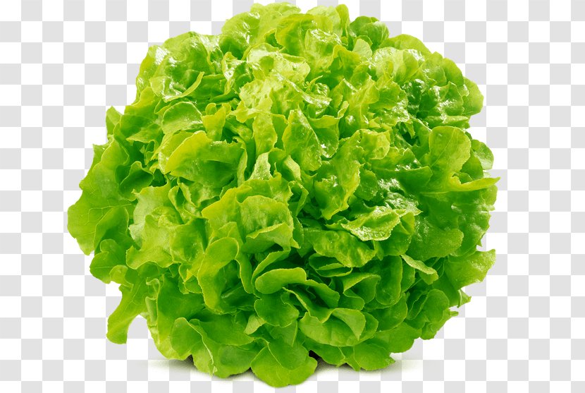 Romanesco Broccoli Cauliflower Mathematics Vegetable Transparent PNG