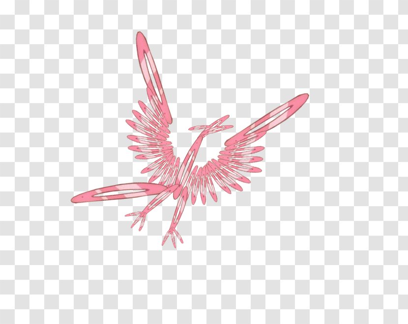 Pink M Feather Beak Line Transparent PNG